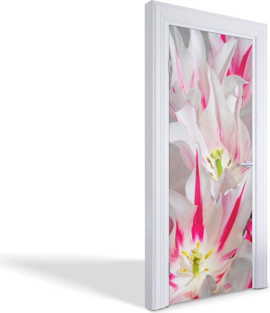 Wandtattoos Türen Selbstklebende Wandsticker Türtapeten - Rosa und weiße Tulpen - 85 x 205 cm