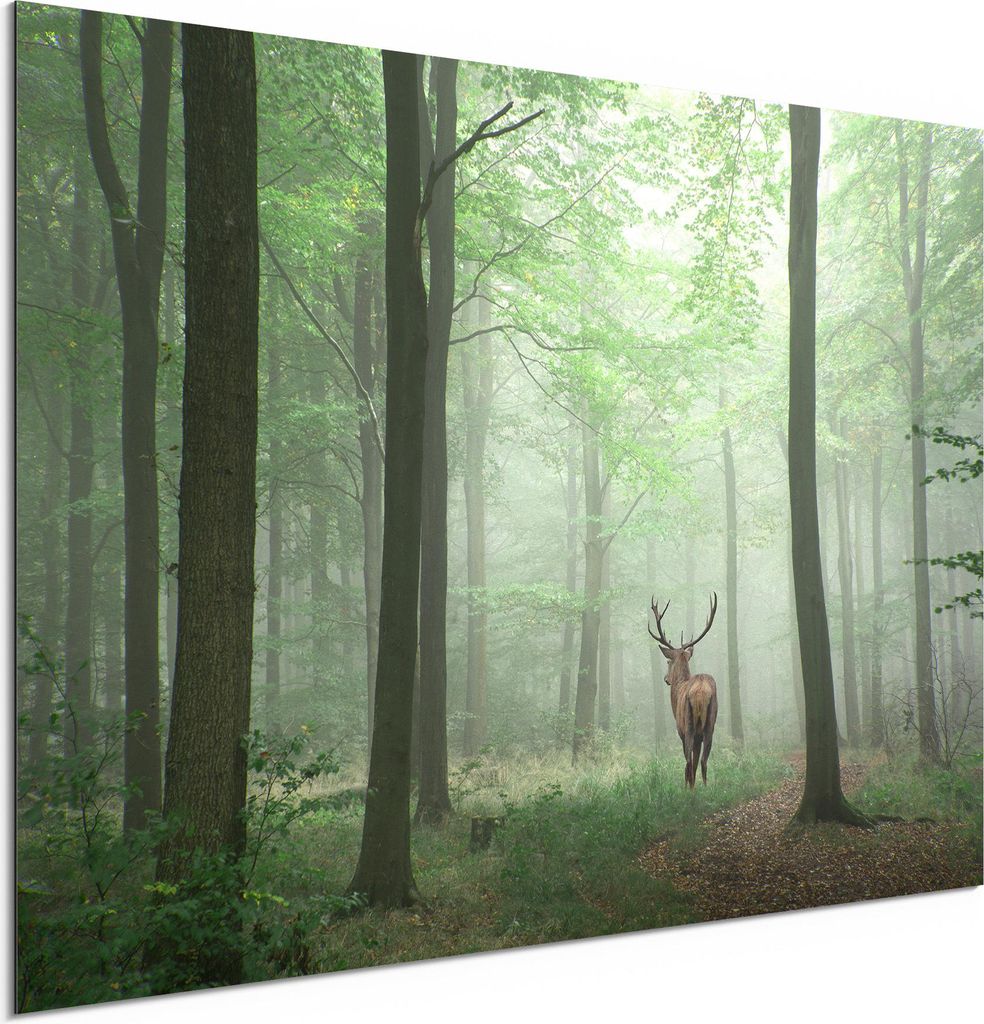 DEQORI Alu-Dibond Bild Weiß 60x40 cm 'Hirsch zwischen Bäumen' Wandbild Metall dünn Design