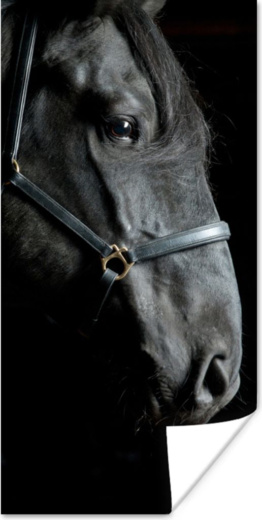 MuchoWow Poster Pferd - Leicht - Schwarz 75x150 cm - Dekoration für die Wände