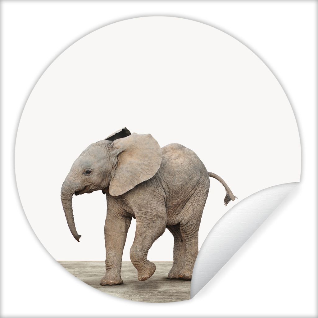 MuchoWow Runde Wandtattoo - Wandsticker Tapete Aufkleber Baby-Elefant - Tiere - Kinder - Mädchen - Jungen Ø 50 cm Selbstklebend und Repositioni...