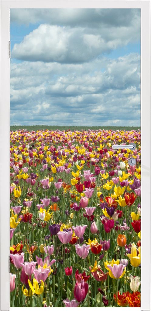 MuchoWow Türtapete Selbstklebende Türfolie Tulpen - Farben - Wolken 90x215 cm Türposter Türaufkleber Klebefolie Türklebefolie - Plakat an de...