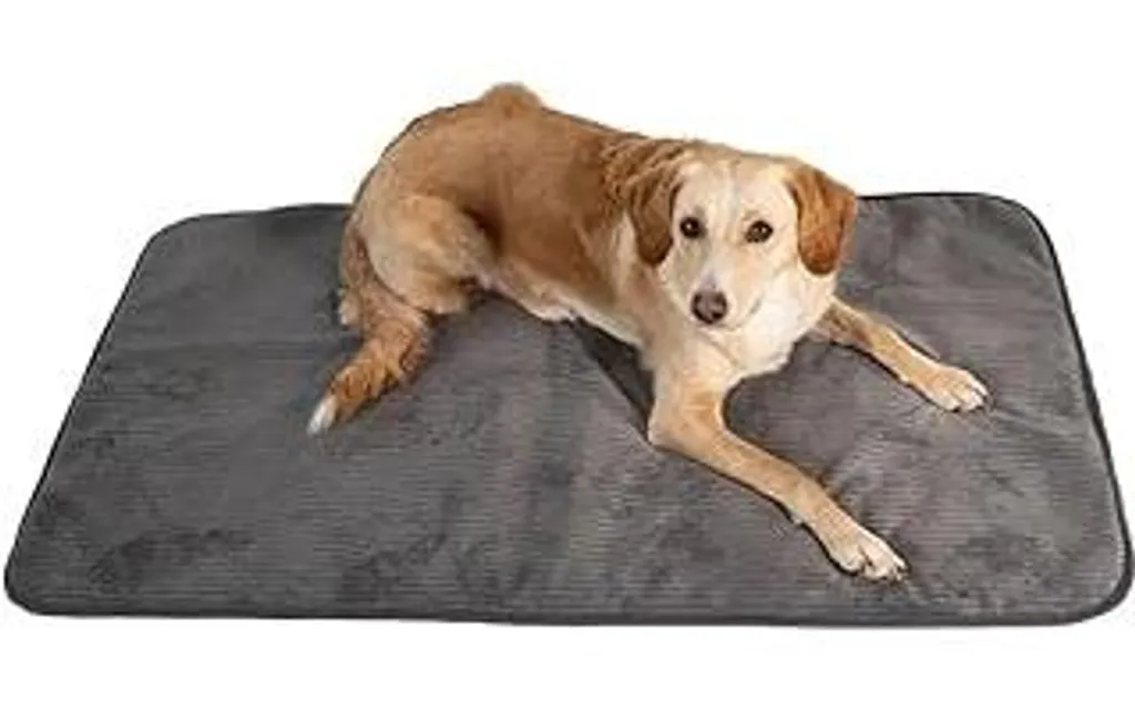 Cuscino Gigante per Cani 120x70 Grigio | Lavabile e Ultra Morbido