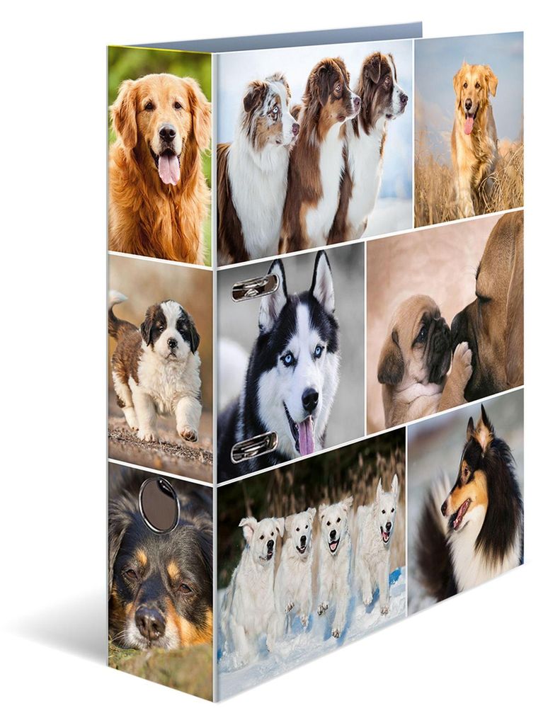 HERMA Motivordner "Animals" DIN A4 Hunde Produktbild 