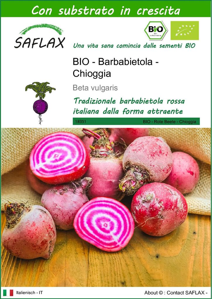 SAFLAX  -- Barbabietola - Chioggia - 70 semi - Con Immagine del prodotto 