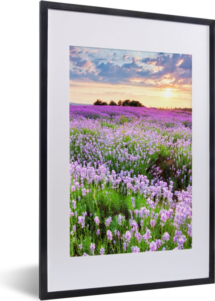 MuchoWow Gerahmtes Poster Blumen - Lavendel - Lila - Himmel - Sonnenuntergang - Wiese - Natur 40x60 cm - Poster mit Schwarzem Bilderrahmen Wandpo...