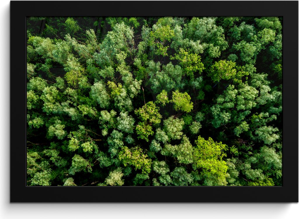 MuchoWow MuchoWow Gerahmtes Poster Baum - Wald - Grün 30x20 cm - Poster mit zchwarzem Bilderrahmen - Kunstdruck - Bild-Poster