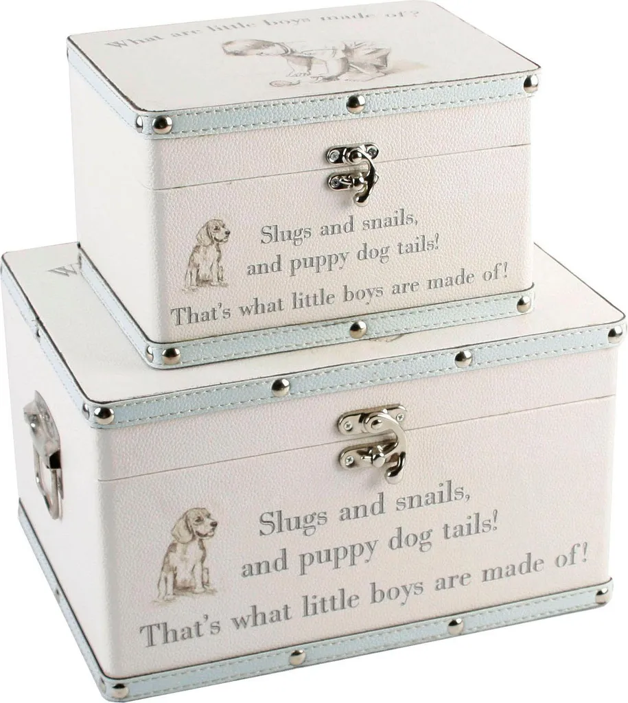 Mallettes de Rangement Enfant WD100 Blanches en Lot de 2 Pièces