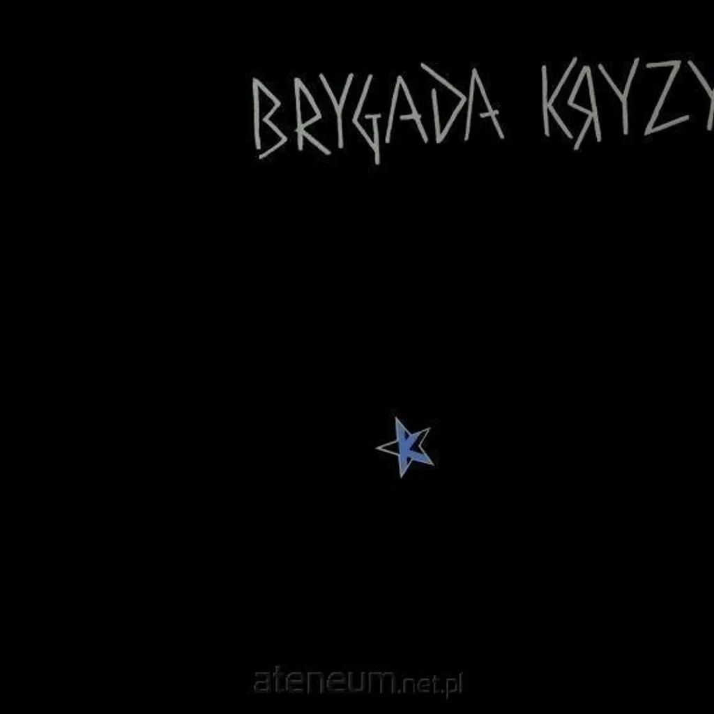Disque Vinyle Brygada Kryzys Album Éponyme Réédition 40 ans Collector