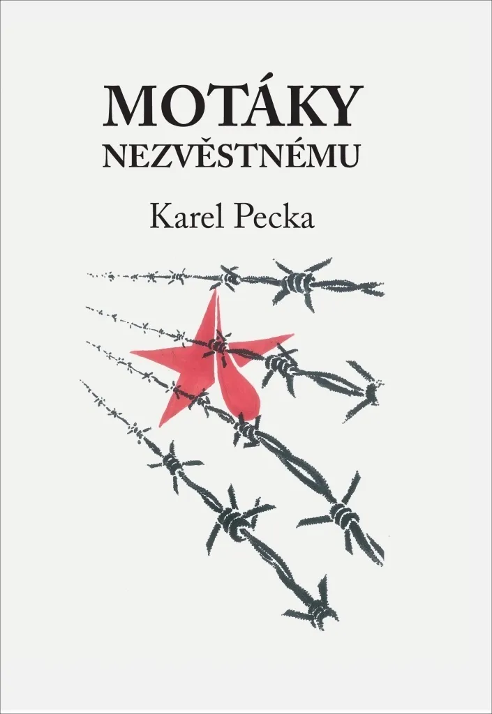 Motáky nezvěstnému de Karel Pecka - Roman Littérature Tchèque Classique
