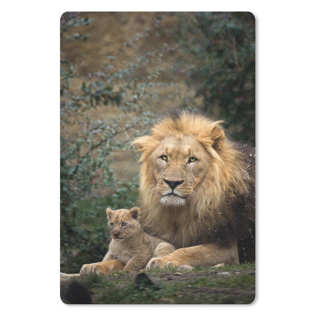 MuchoWow Mauspad Mousepad Löwen - Raubtiere - Porträt 40x60 cm - Mousepads - Maus Mat - Pad - Mausunterlage - Schreibtisch Accesoire
