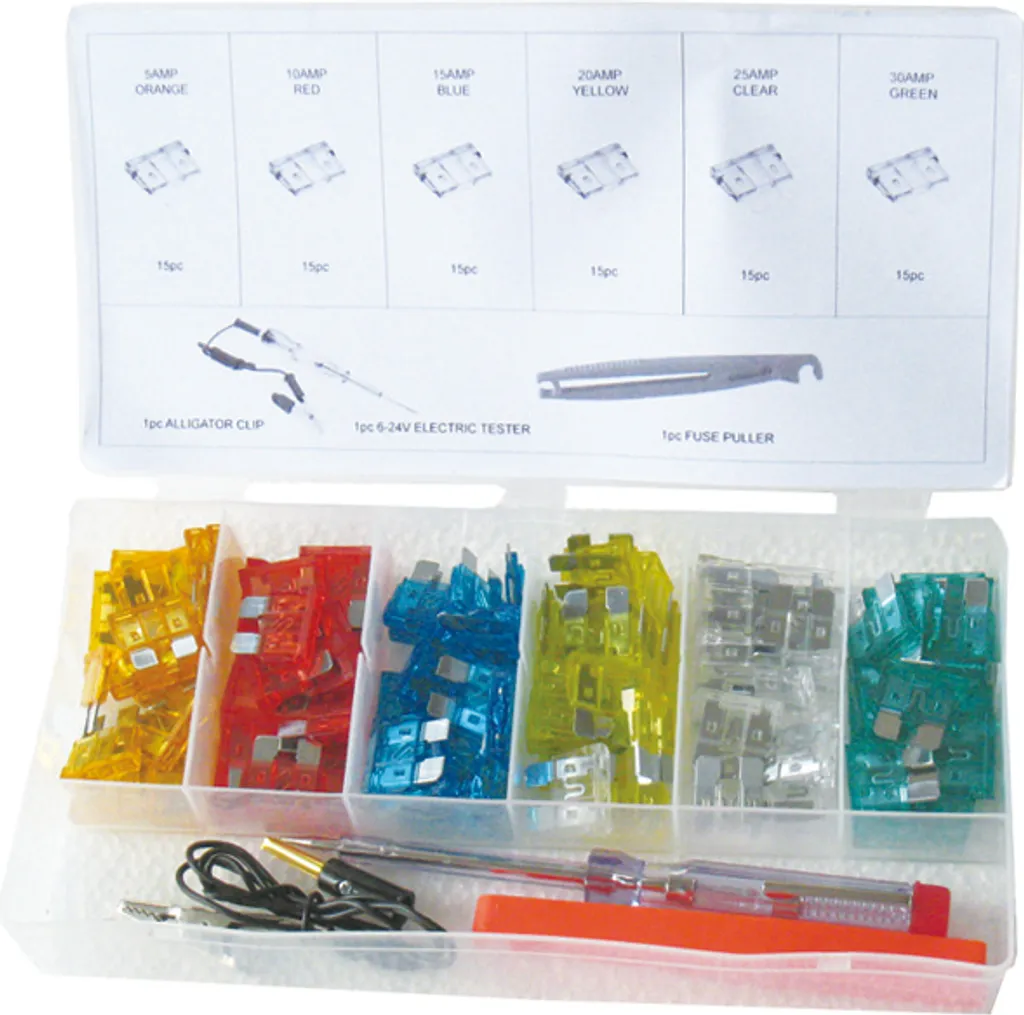 Solution Panne Électrique : 93 Fusibles Plats 19mm Type 100 pour Auto