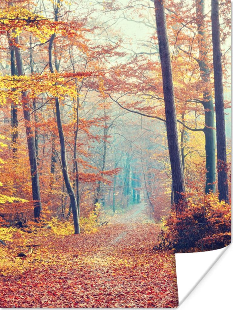 MuchoWow Poster Wald - Herbst - Laub 60x80 cm - Schlafzimmer Dekoration