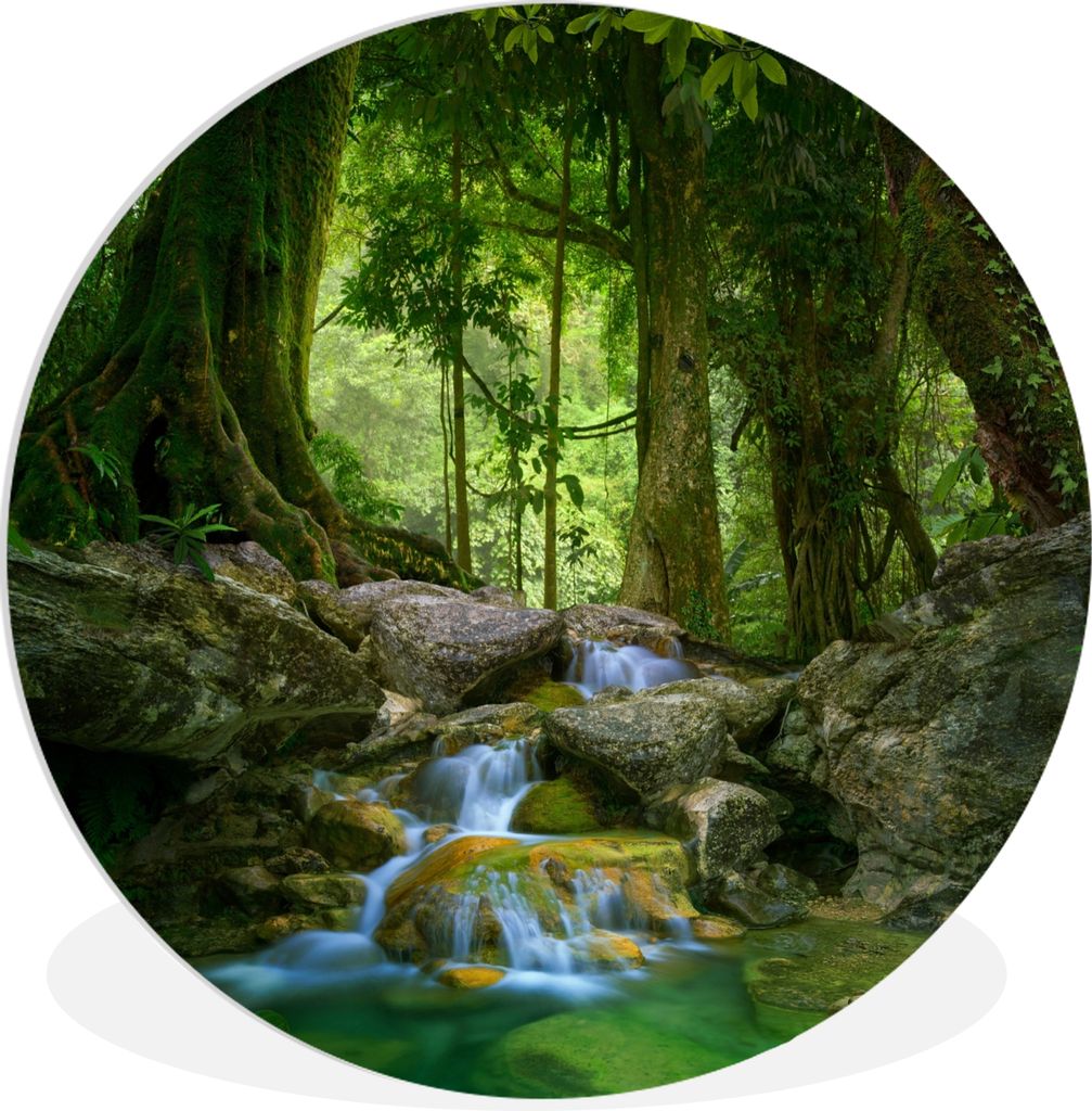MuchoWow Rundes Wandbild - Runde Bilder Dschungel - Steine - Wasser - Natur - Pflanzen Ø 30 cm Kreis Wanddekoration Kunststoff - Wandkreis - Wan...