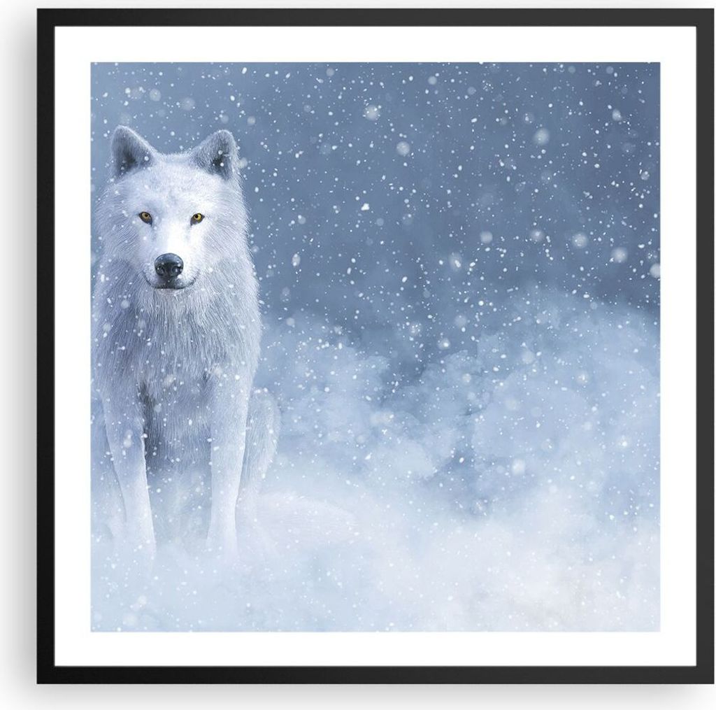Gerahmtes Poster - Schwarzer Rahmen - Weiß Wolf Schnee - 60x60 cm - Wand Bild - Wanddeko - Wandbilder - Kunstposter - Wandposter - Bilderrahmen - ...