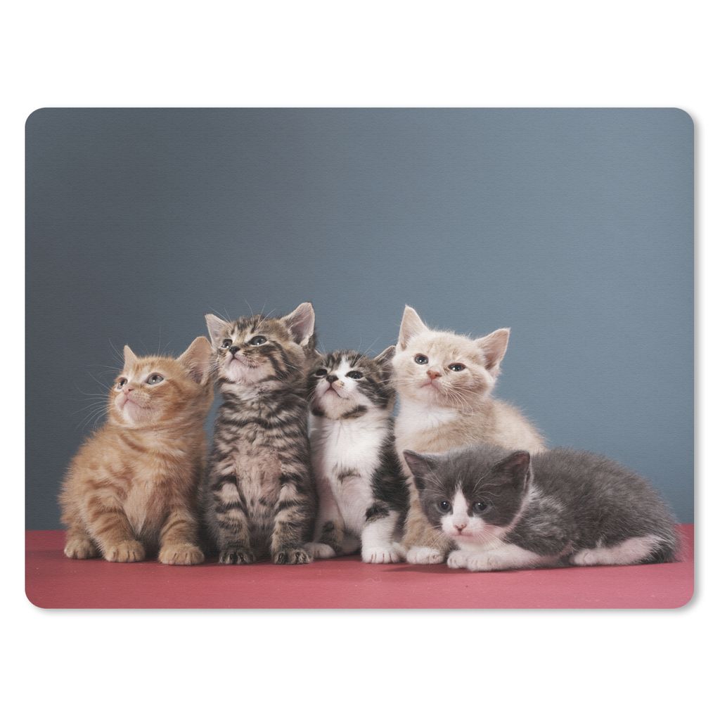 MuchoWow Mauspad Mousepad Kätzchen - Blau - Rosa - Mädchen - Jungen - Kind 40x30 cm - Mousepads - Maus Mat - Pad - Mausunterlage - Anti Rutsch