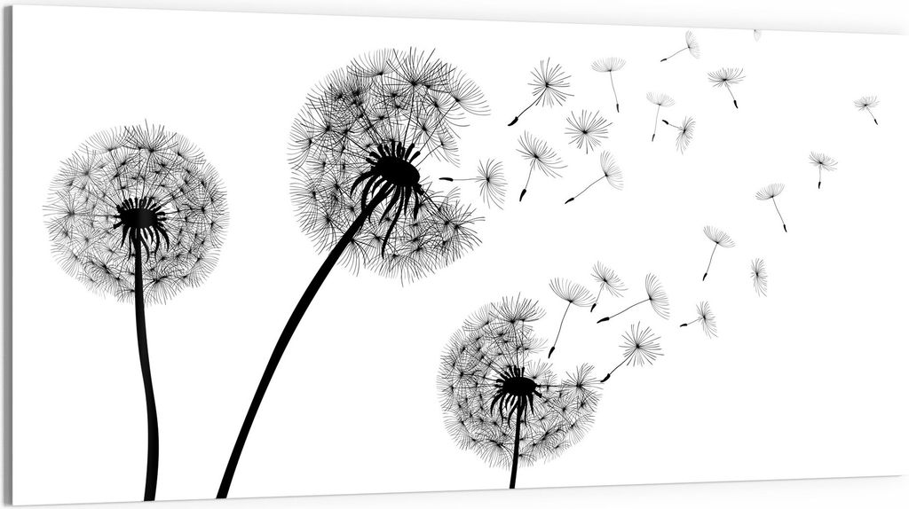 DEQORI Glasbild Echtglas 100x50 cm 'Schwarze Pusteblumen' Wandbild Bild modern Deko