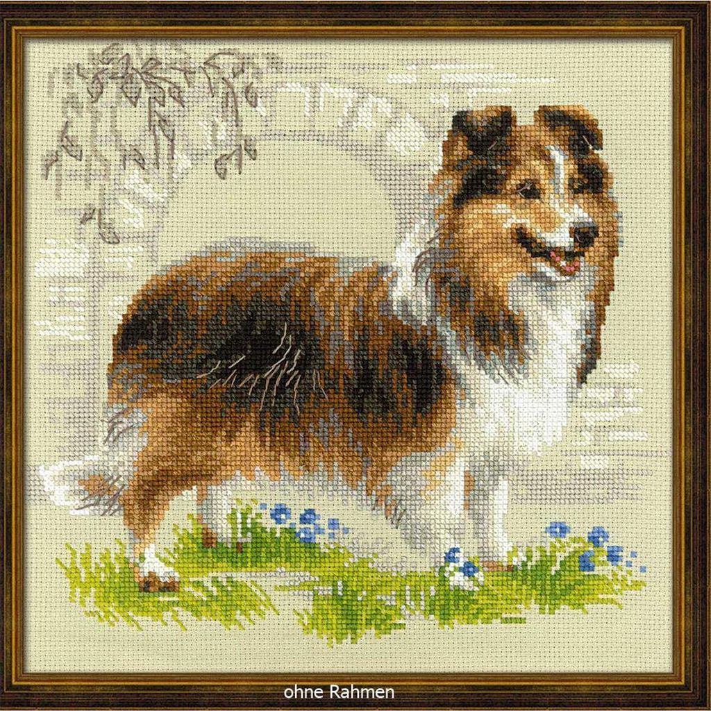 Riolis Stickbild-Set Kreuzstich "Shetland Sheepdog", Zählmuster