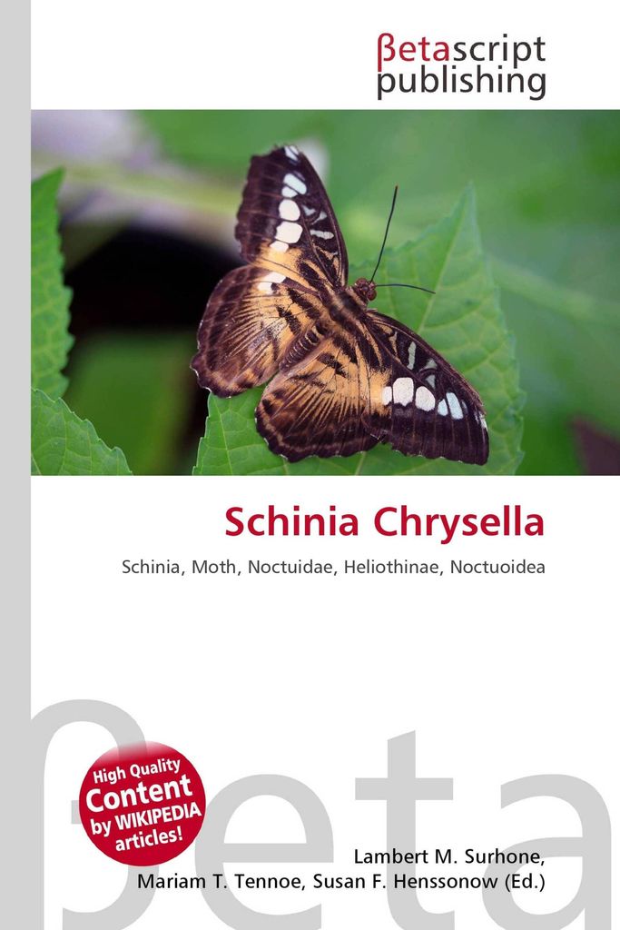 Schinia Chrysella