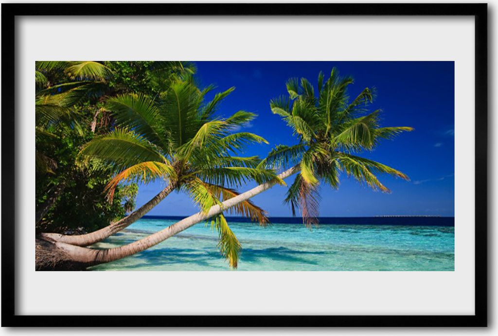 Bild 60x40 MDF-Rahmen Wandkunst Palme, Meer, Landschaft