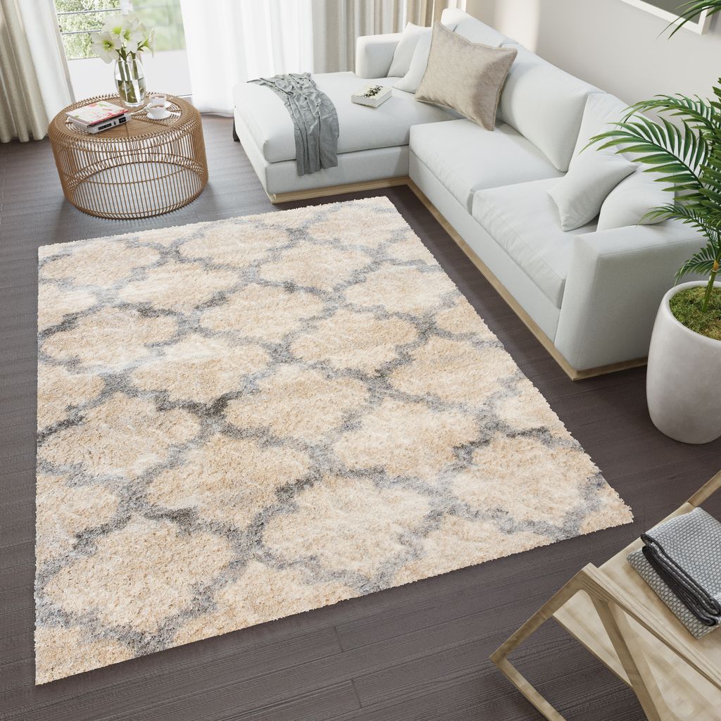 Teppich Wohnzimmer Schlafzimmer Meliert Modern Design Shaggy Hochflor Langflor Beige Grau 120 x 170 cm