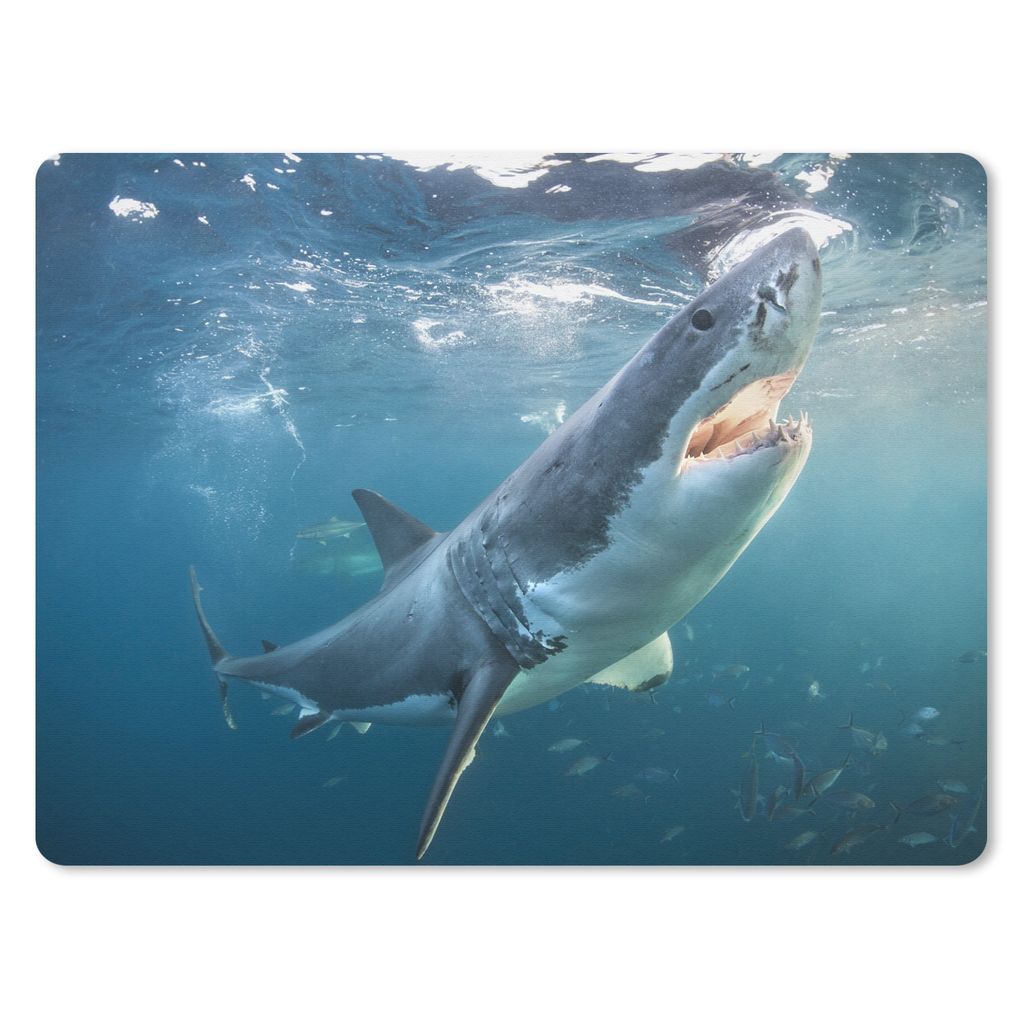 MuchoWow Mauspad Mousepad Weißer Hai in der Nähe der Wasseroberfläche 23x19 cm - Mousepads - Maus Mat - Pad - Mausunterlage - Schreibtischunte...