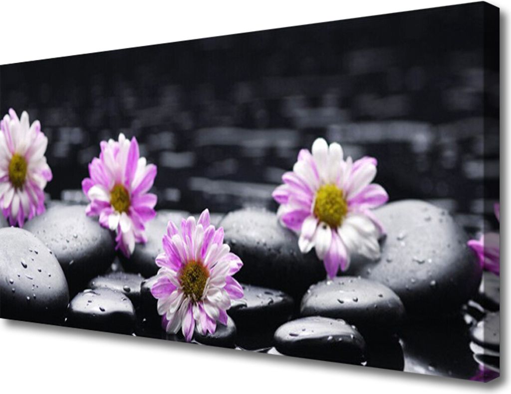 Tulup Leinwand-Bilder 100x50 Wandbild Canvas Kunstdruck Blumen Steine Pflanzen