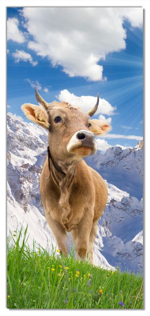 Wallario selbstklebende Türtapete 100 x 220 cm - Kuh im Sonnenschein in den Alpen - Abwischbar, rückstandsfrei zu entfernen