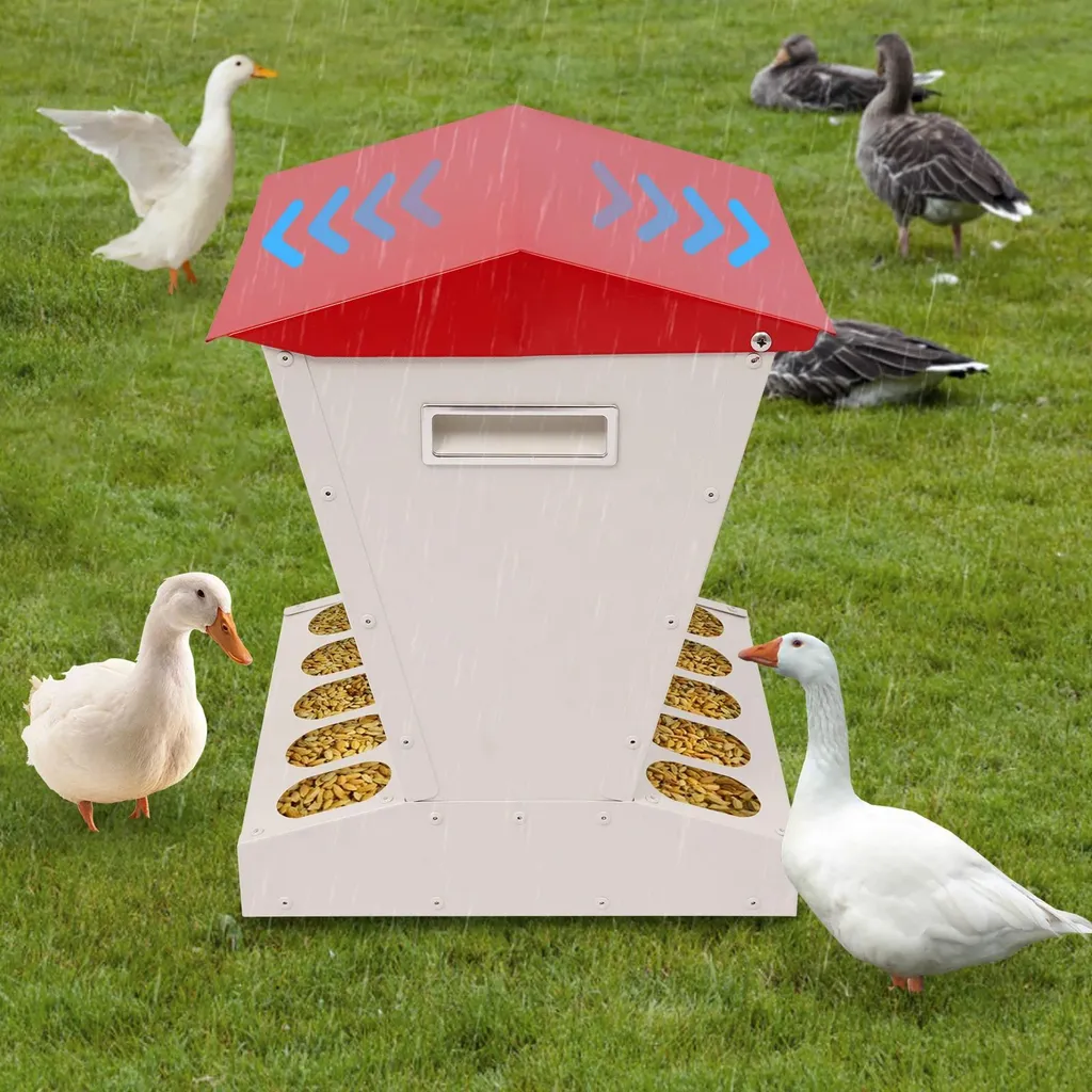 Distributeur automatique de nourriture poules sur pied grande capacité - 4
