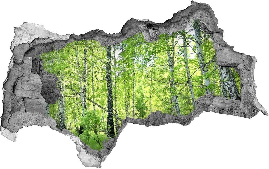 Selbstklebender Loch-3D-Aufkleber 95x73 cm Birkenwald Produktbild 