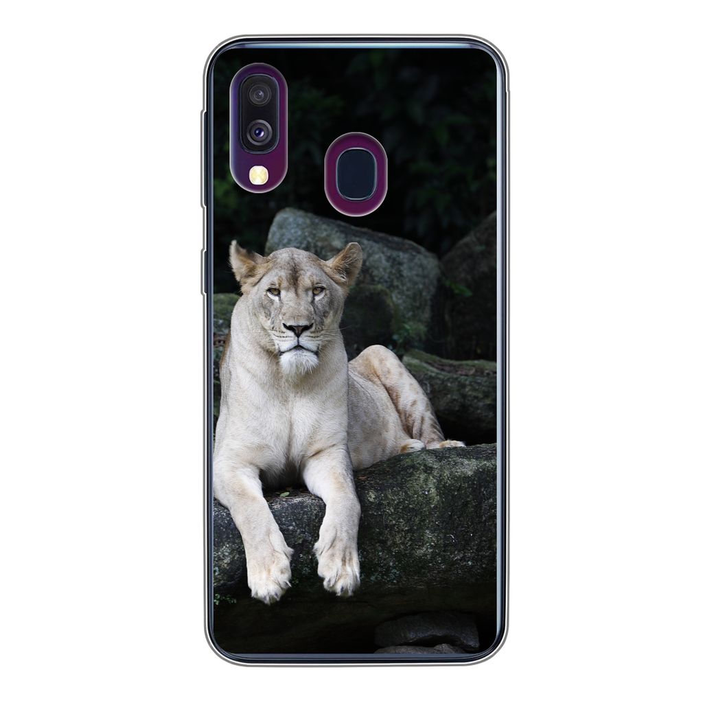 MuchoWow Handyhülle Schutzhülle Hülle für Samsung Galaxy A40 Löwe - Wilde Tiere - Porträt Silikon Softcase Handy Hülle - Handy-Tasche