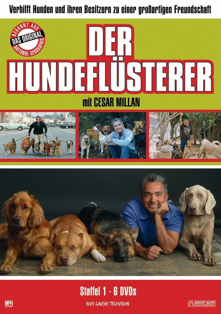 Der Hundeflüsterer - Vol. 1 Produktbild 