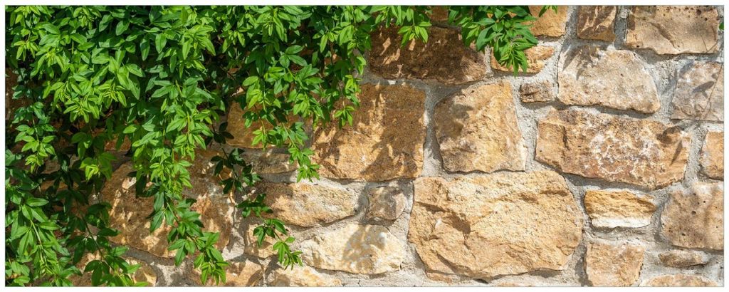 Wallario Küchenrückwand selbstklebend, Größe: 115 x 50 cm, Motiv: Natursteinwand mit Ranken | Spritzschutz | abwischbar | pflegeleicht | in