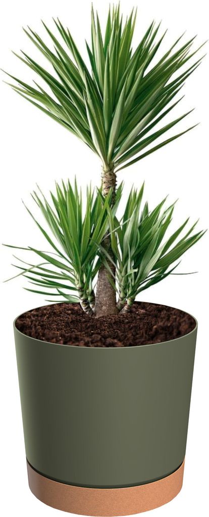 Blumentopf Blumenhalter mit Ständer rund groß Blumentopf Ø 30 cm H 28 matt 14,5 L grün abnehmbarer Ständer matte Oberfläche Inneneinrichtung ...