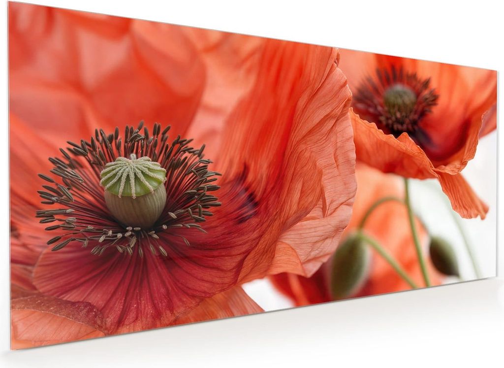 Küchenrückwand Spritzschutz Glas mit Motiv Mohnblüten 40 x 40 cm