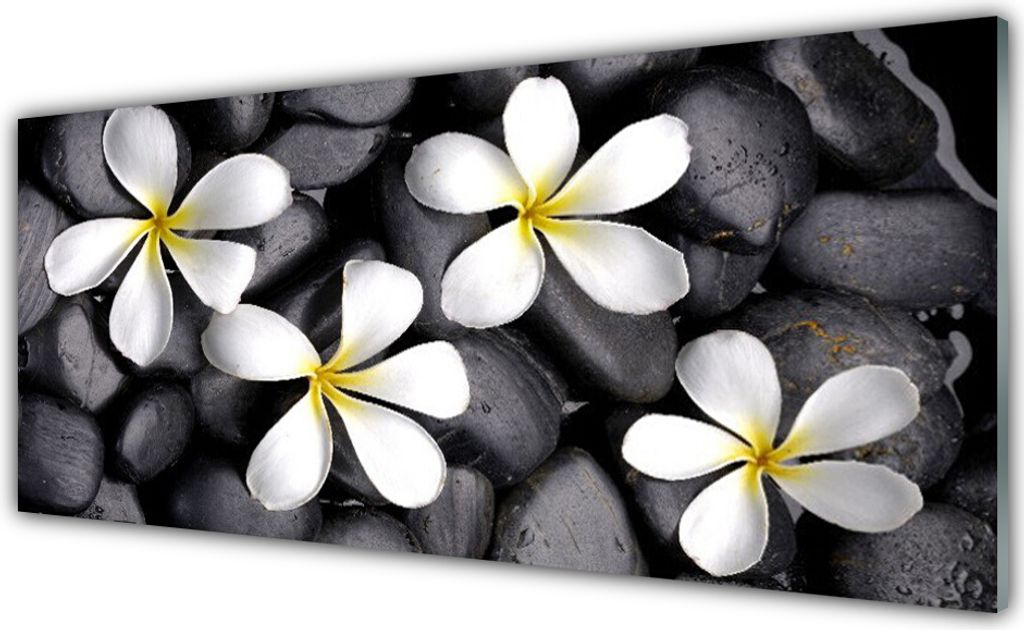 Acrylglasbilder 125x50 Wandbild Druck Blumen Pflanzen