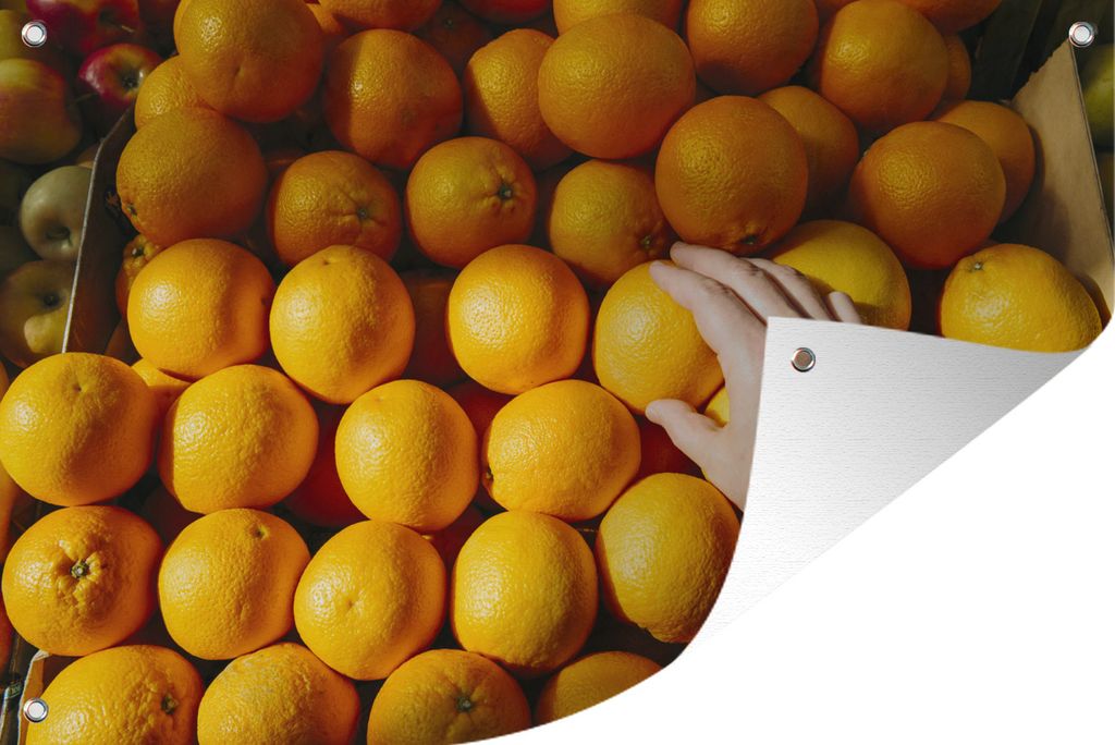MuchoWow 90x60 cm Outdoor-Poster Gartendeko Sichtschutz Garten Poster für den Garten Orange - Hand - Obst - Markt