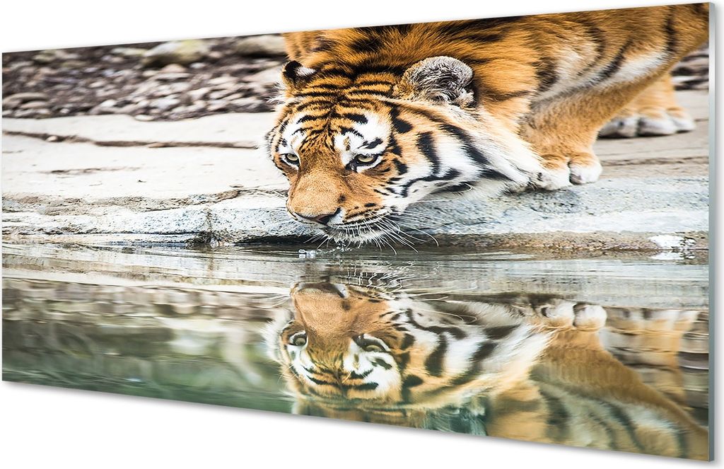 Glasbilder 140x70 Wandkunst Tiger Drink