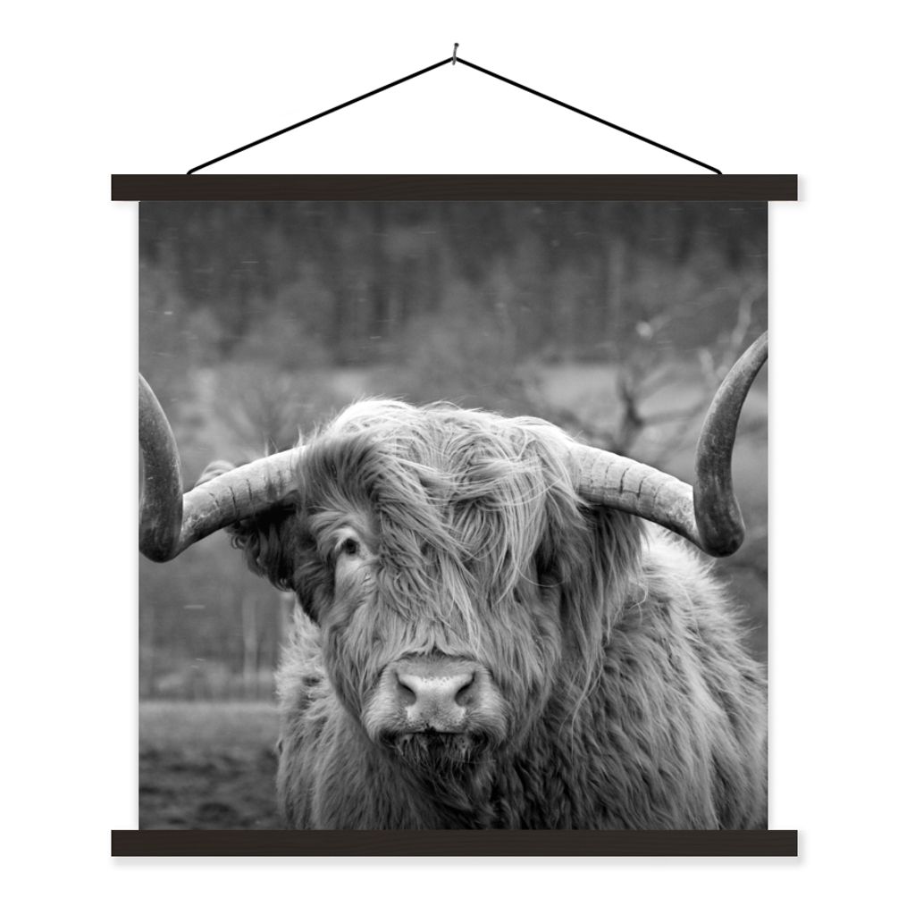 MuchoWow Textilposter Schottischer Highlander - Kuhkopf - Landschaft - Natur - Kuh 120x120 cm mit schwarzem Rahmen - Aufhängungsset