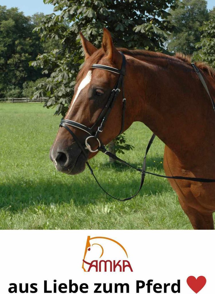 AMKA Trensenzaum, Nylon, Farbe:schwarz, Größe:Pony