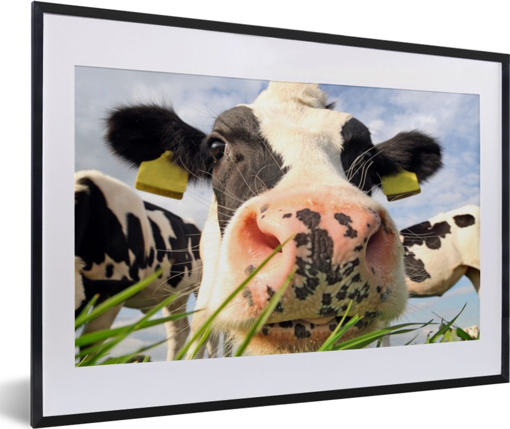 MuchoWow Gerahmtes Poster Kuh - Bauernhof - Gras - Tiere 60x40 cm - Poster mit Schwarzem Bilderrahmen Wandposter Rahmen Foto Bilder - Schlafzimme...