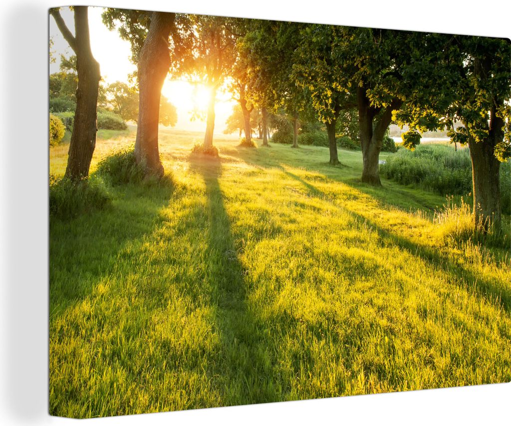 OneMillionCanvasses - Leinwandbilder - 140x90 cm, Die untergehende Sonne hinter Bäumen in Jütland Dänemark, Wandbilder Kunstdruck Wanddekorati...