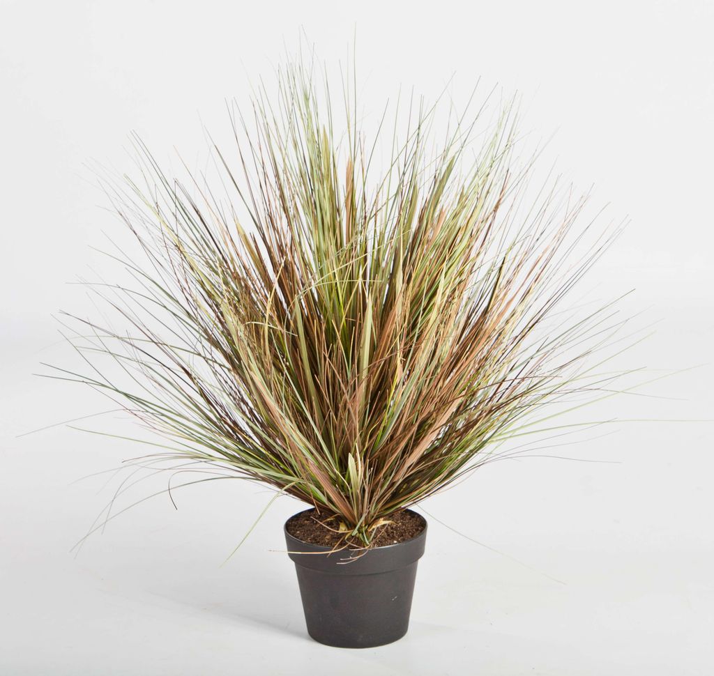 artplants.de Künstliches Dünengras im Topf, grün-braun, 50cm - Kunstgras - Grasbüschel künstlich