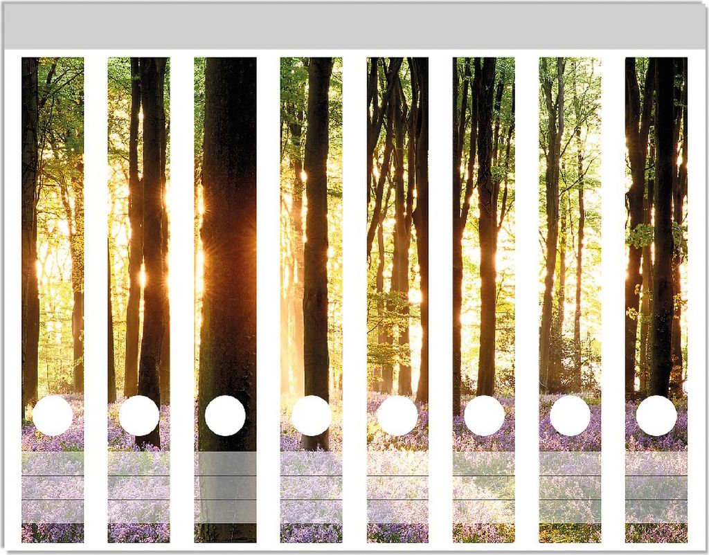 Wallario Ordnerrücken Sticker, selbstklebend für schmale Ordner, 8 Stück, Motiv Blaue Hasenglöckchen im Wald mit Sonnenstrahlen