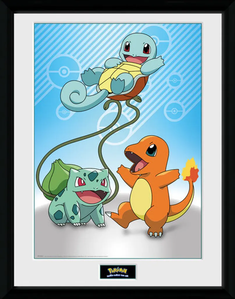Affiche Pokémon Kanto Encadrée - Fini les Posters Plissés sur le Mur