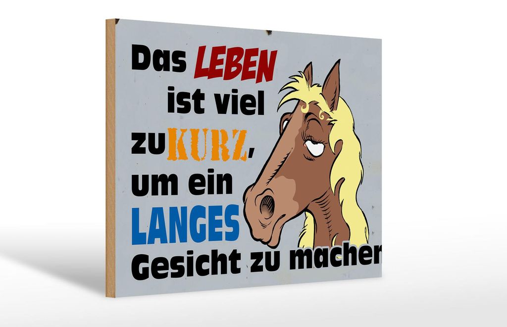 Holzschild Spruch 30x20cm das Leben ist zu kurz um Pferd