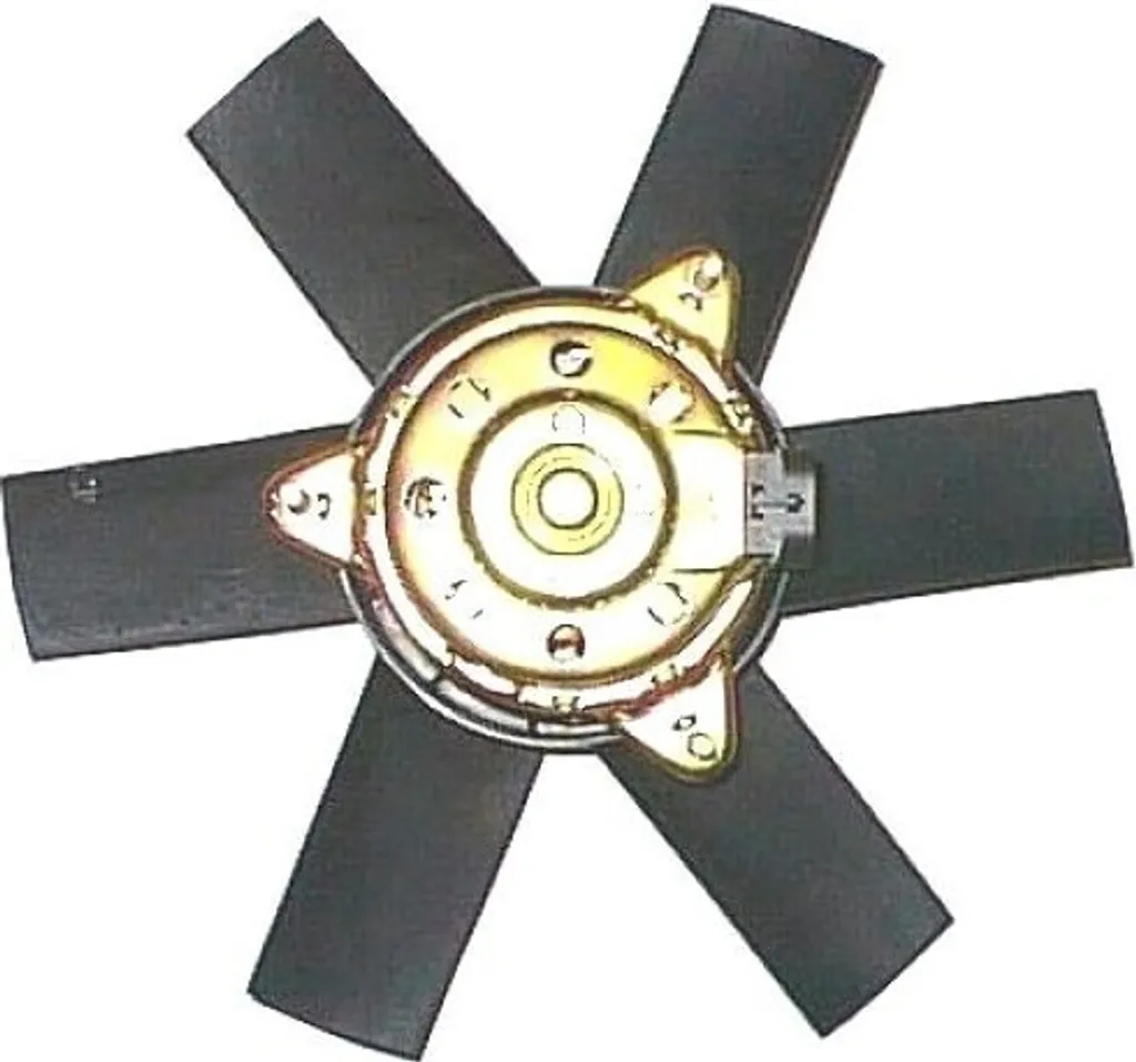 NRF 47619 Ventilateur de Radiateur OE 125339 pour Citroën Jumper et Boxer