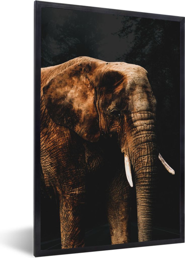 MuchoWow MuchoWow Gerahmtes Poster Elefant - Schwarz - Farbe 40x60 cm - Poster mit zchwarzem Bilderrahmen - Papierdruck - Wandbilder