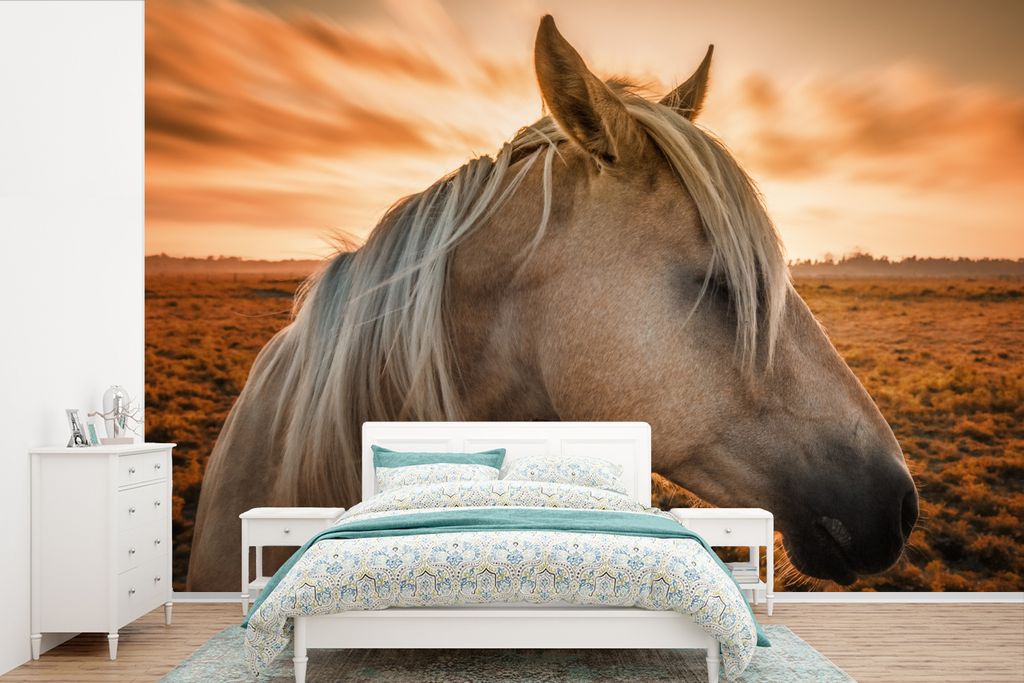 MuchoWow Fototapete für Wohnzimmer oder Schlafzimmer Wandtapete Vinyl Motivtapete Pferd - Sonne - Orange - 330x220 cm - Fototapeten