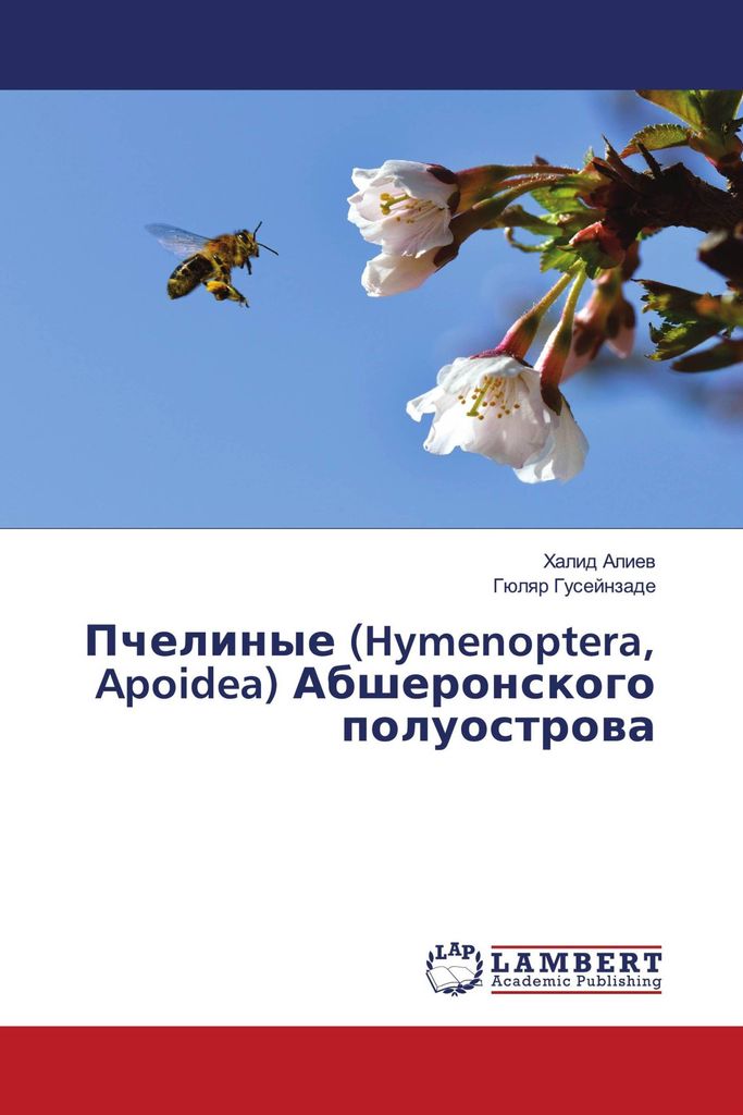 Pchelinye (Hymenoptera, Apoidea) Absheronskogo poluostrowa