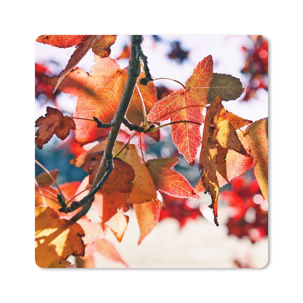 MuchoWow Mauspad Mousepad Ahorn - Blätter - Rustikal - Herbst 30x30 cm - Mousepads - Maus Mat - Pad - Mausunterlage - Gaming